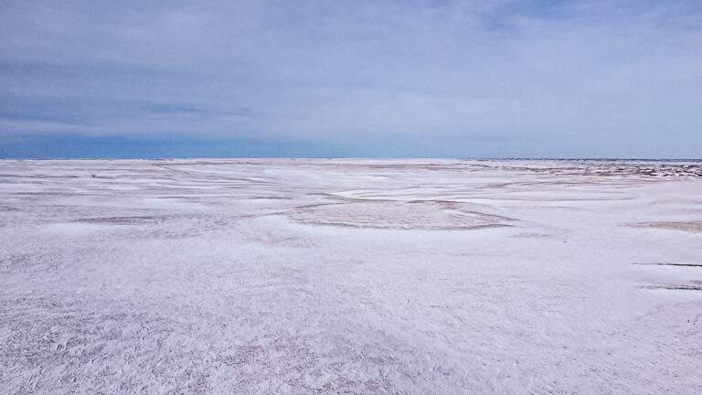 04_d62edc3e-fde8-43ab-8b4c-fc93f16cdb80