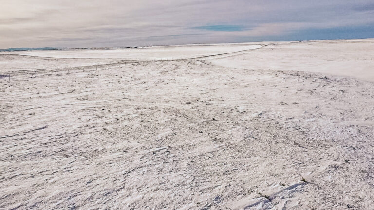 08_fbc06084-d858-4432-93bc-d6474a288e9a