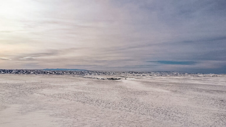 12_4a952f48-a2a6-479a-97e3-5133148004bf