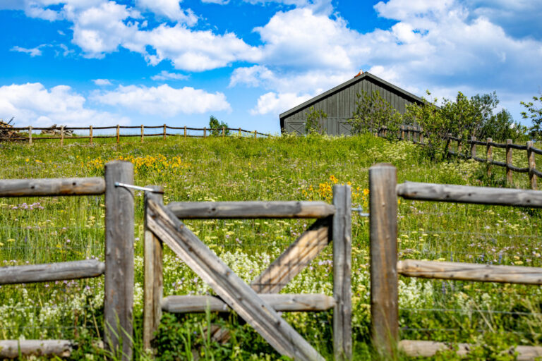 37_810cb283-2fb1-416f-9c83-7104a19c44c6