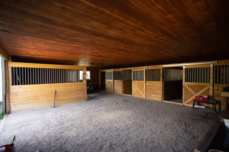 39_92a2bc37-ee13-4022-b672-10edcd9f56ee