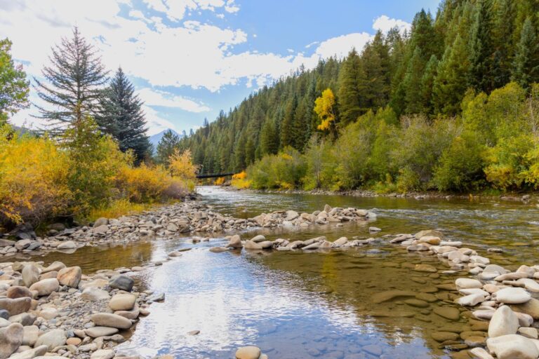 ????????????????????????????????????????????????????????????????????????????????????????????????????????????????????????