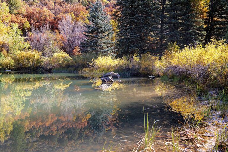 Colorado lakefront home for sale