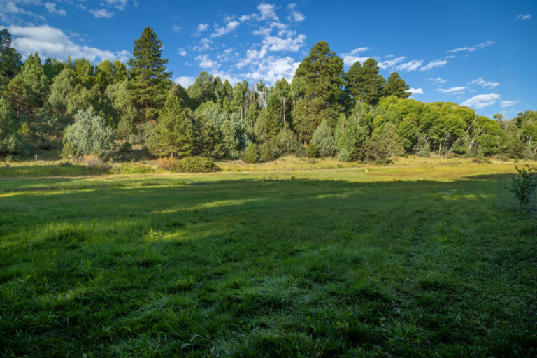 15_f68ee1f4-4bae-491b-99a3-7760d89f11e2