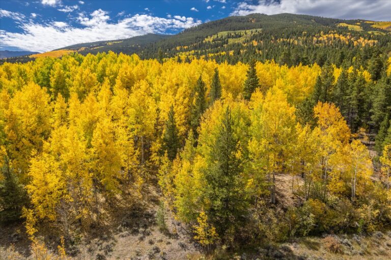 12_07f4b728-6416-443e-89bb-399f79176c5a