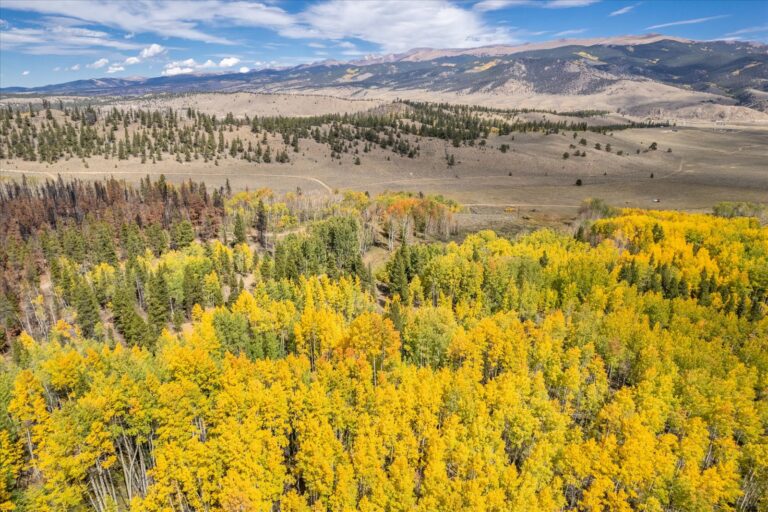 21_f19fbc37-ec23-46f8-8f69-19757dd04ce9