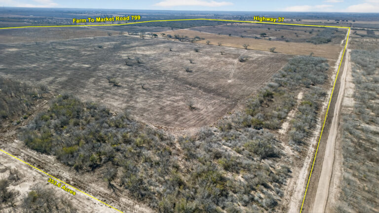 07_c68819e8-22ca-49c2-9e88-08df02269f28