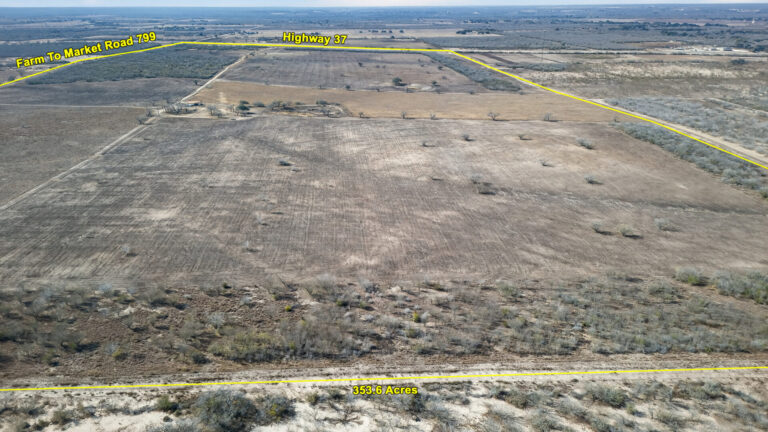 09_312f2b41-6b14-40e7-b43b-c19a91d3aee9