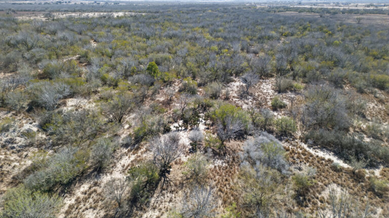 37_11abb640-f928-43a7-9558-e0591d8ef6ac