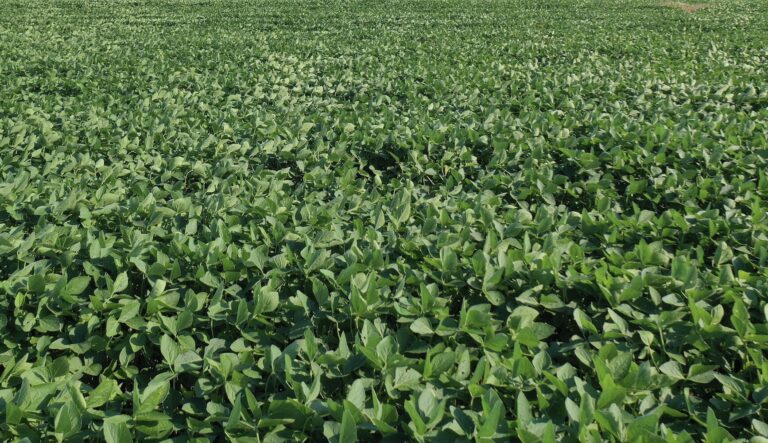 04_0c743832-661a-4ec7-b528-e3d881c19142