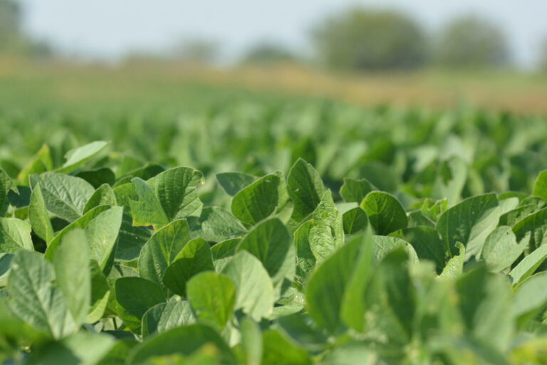 08_4ed83283-2ded-4d40-919d-ec5c256aef6a