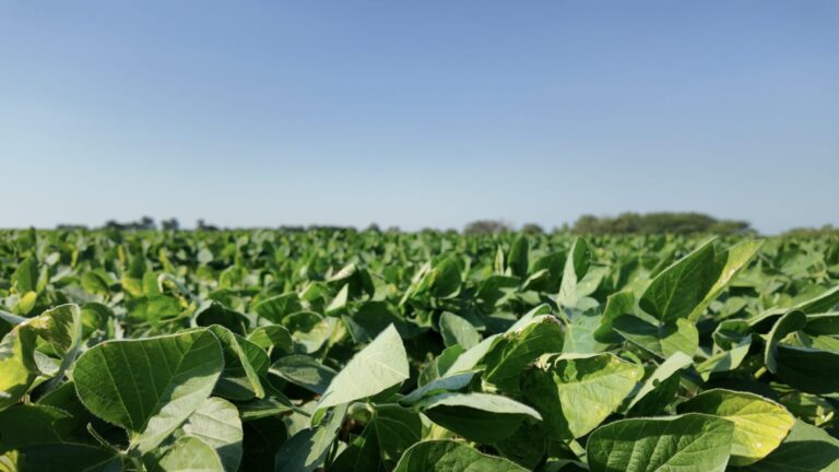 09_ea59ffb5-61da-4742-aa62-e84cd7f79d55