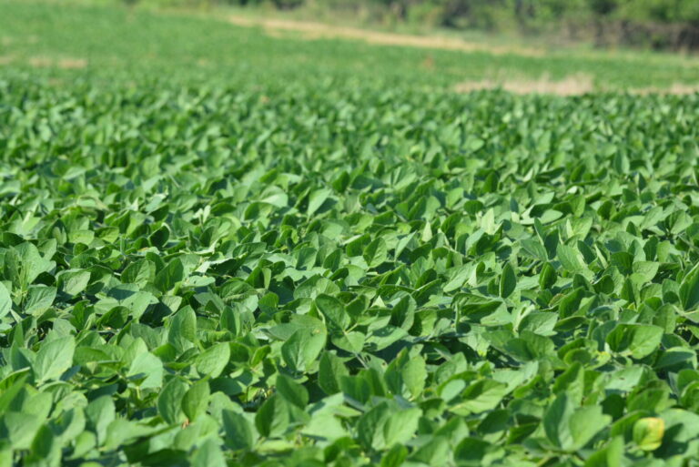 16_a6844e52-c8cf-4e9b-8288-328776921f6d