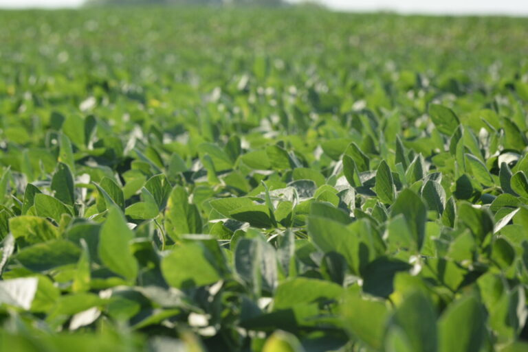 22_ad99a52f-d6bf-4910-bc10-e88ec10c619a