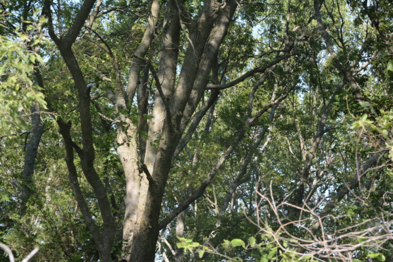 26_7e2ea763-73f5-4a65-8293-5dd845a3cd4e