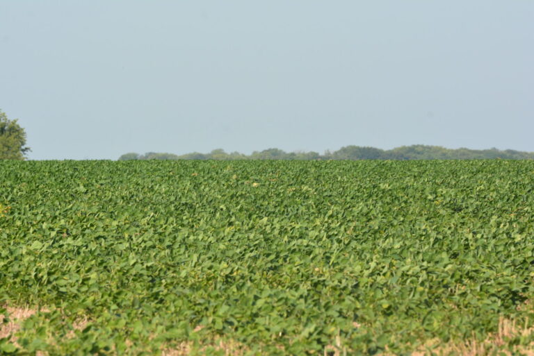 28_5e08e44b-c064-410d-bfa4-b57283eda229