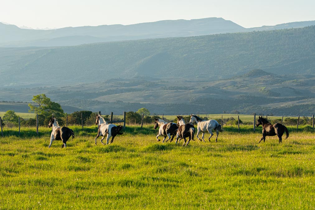 The Gates Ranch: A Historic Colorado Cattle and Hunting Ranch for Sale