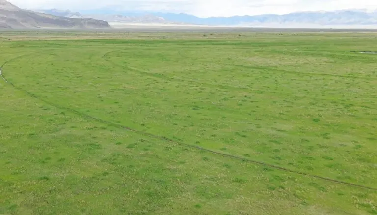 Colorado Cattle Ranch for Sale