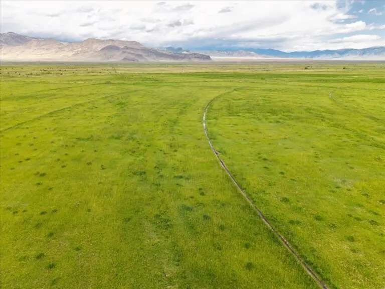 Colorado Cattle Ranch for Sale