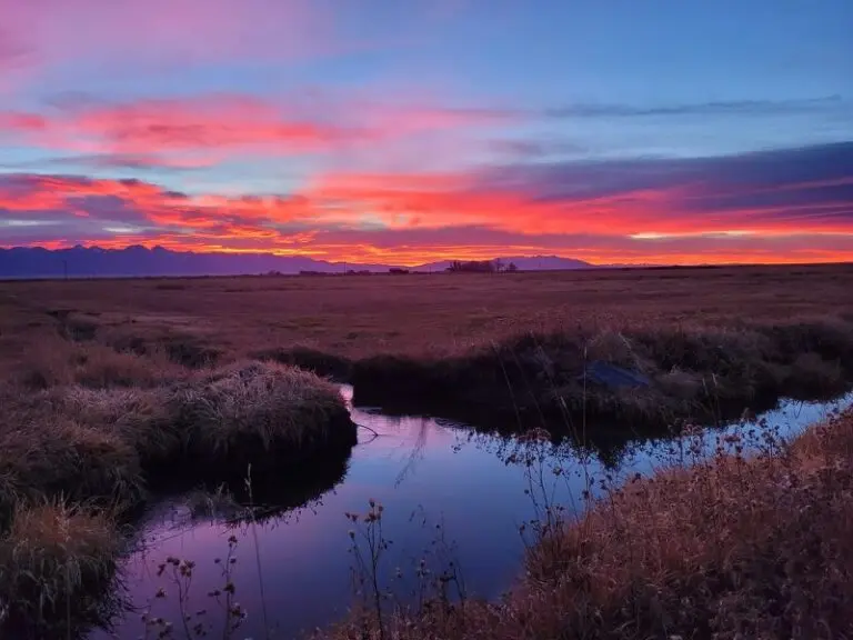 Colorado Cattle Ranch for Sale
