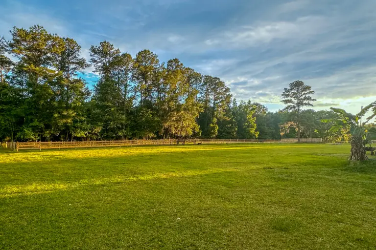 16242 NW 130th St, Williston, FL 32696