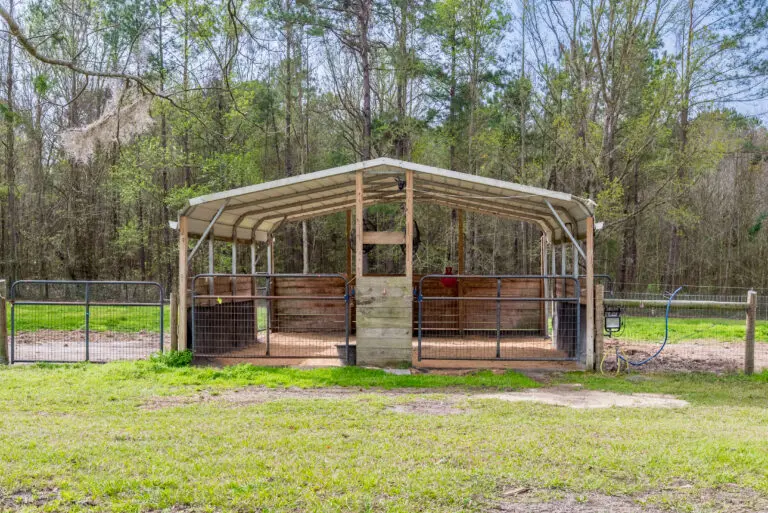 16242 NW 130th St, Williston, FL 32696