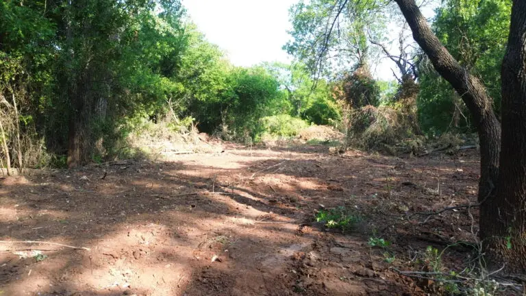 DCIM101MEDIADJI_0440.JPG