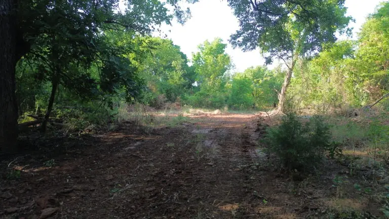 DCIM101MEDIADJI_0443.JPG