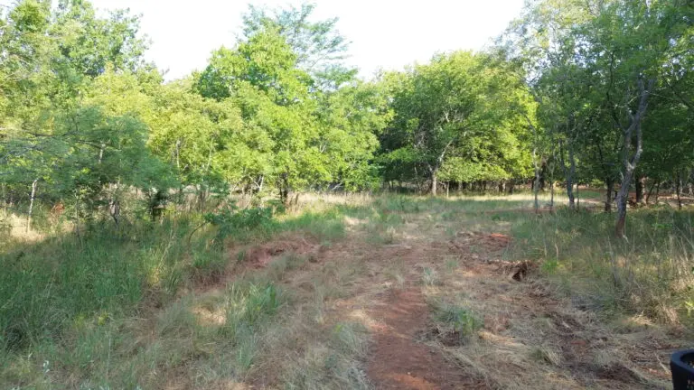 DCIM101MEDIADJI_0450.JPG