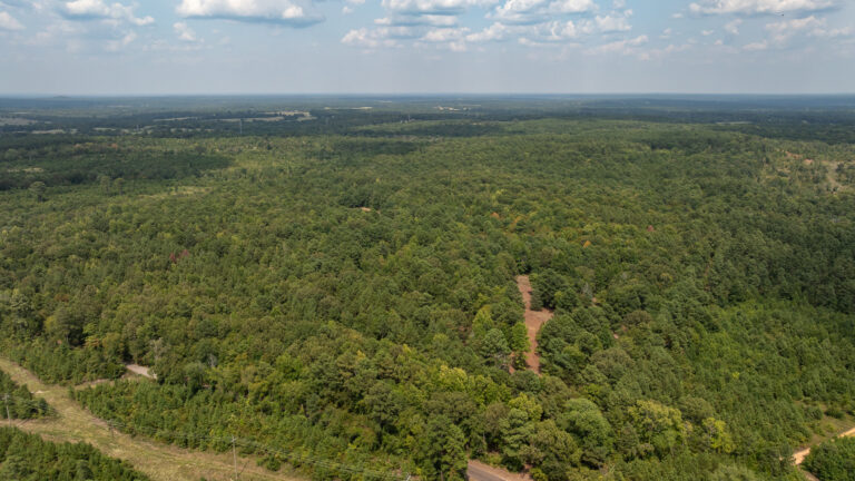 07_e0058378-4219-4548-a92d-0f6afb73a25f