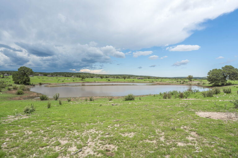 dry creek ranch