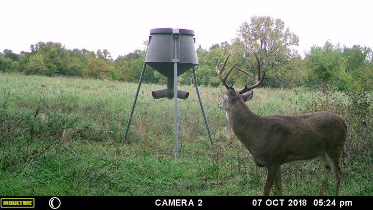 MOULTRIE DIGITAL GAME CAMERA