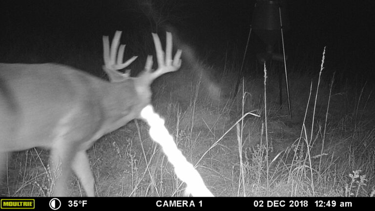 MOULTRIE DIGITAL GAME CAMERA