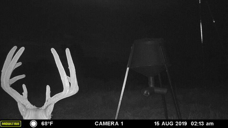 MOULTRIE DIGITAL GAME CAMERA