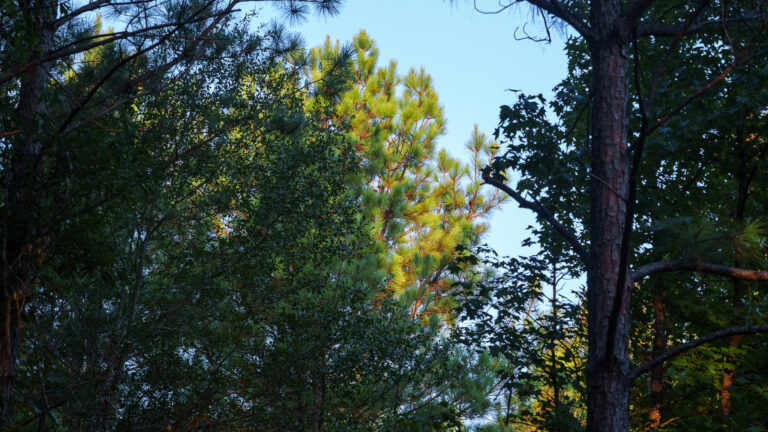 08_479b9750-cdf7-450f-a182-5abc48779747
