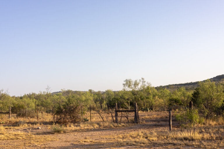 08_c240e1d8-095c-4a7d-972f-dd24030b25cc