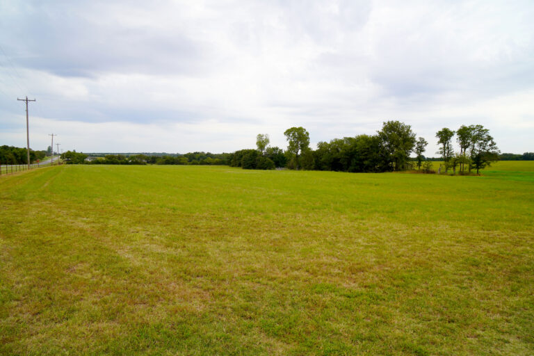 09_87e9a7a7-78f6-4317-ad58-db242cb86fa4