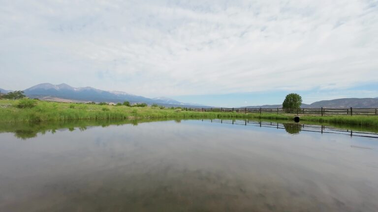 Timber Creek Ranch Salida Colorado