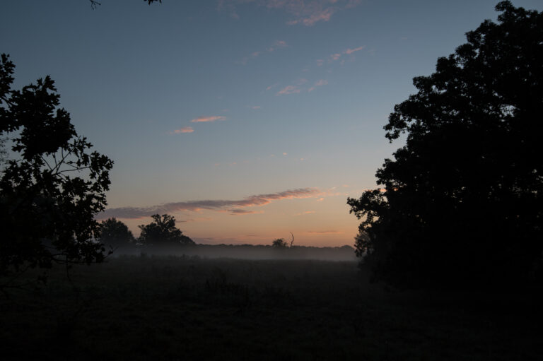 21_e5682b7d-eab3-487e-943c-86f0e767b187