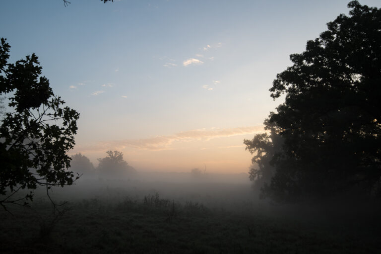 22_0a1df07b-4b25-4e3c-a9e7-7561724c0c57