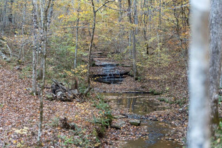 By submitting this image to Realtracs Inc, the User grants to Realtracs Inc an unrestricted license to use the image in compilations of properties and in other ways authorized by the Board of Directors.