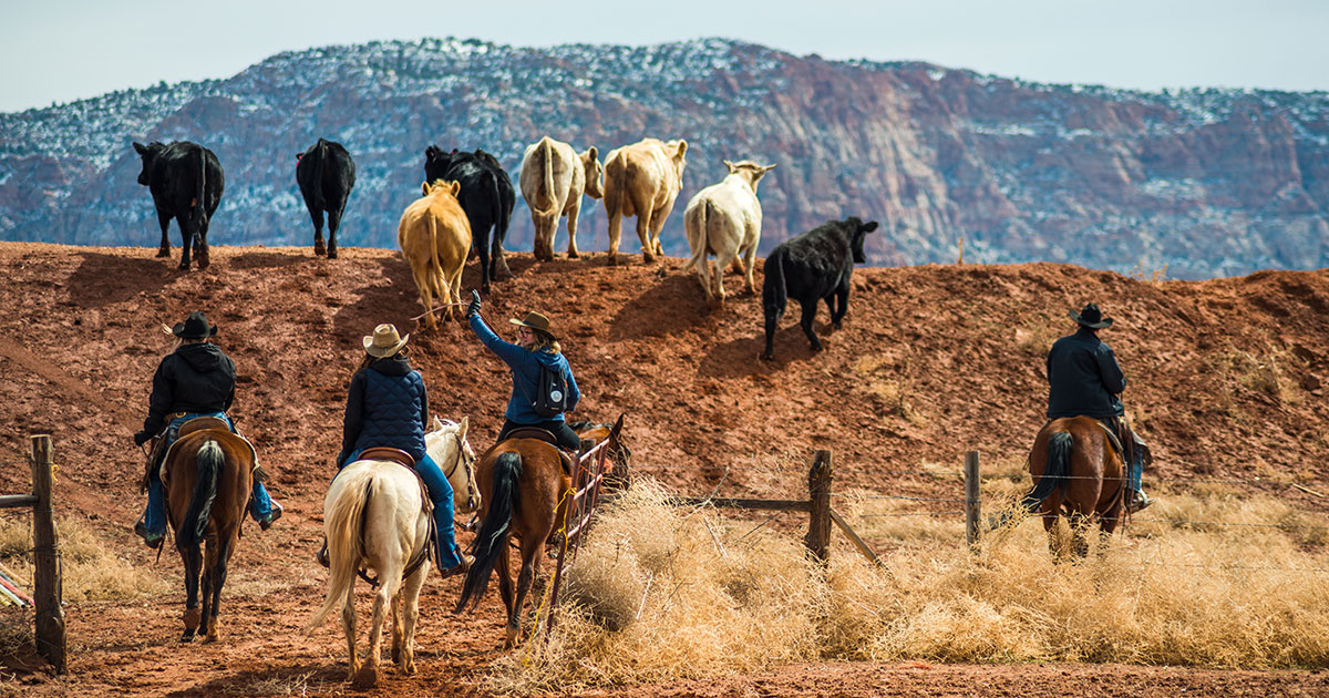UC Ranch Rest Estate Experts