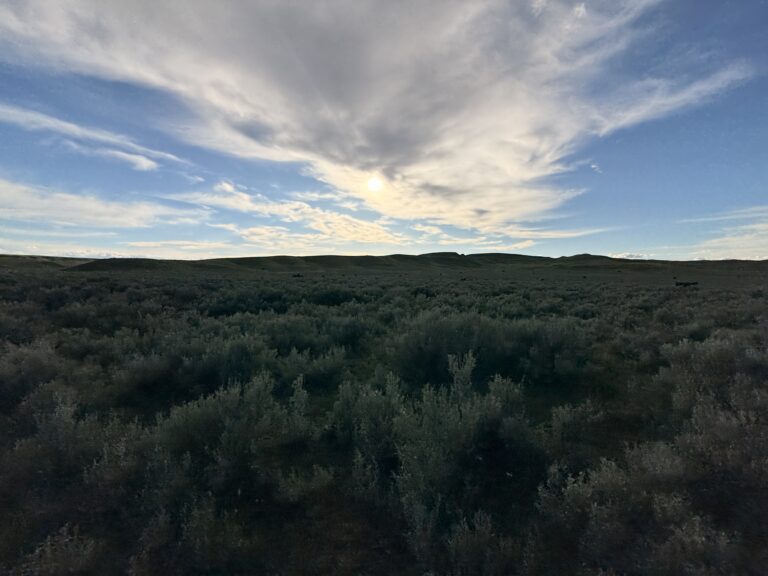 19_0659bb0e-ff2f-41fb-bd4c-b7314416c642